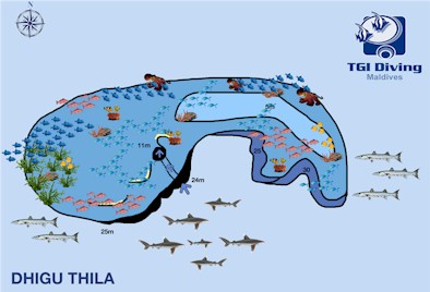 Madivaru Thila